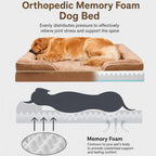 Orthopedic Memory Foam Dog Bed