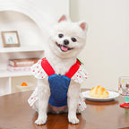 Strawberry Denim Princess Pet Dress & Harness Set