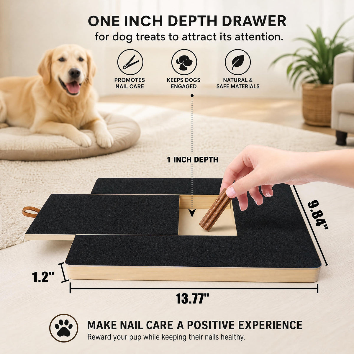 Stress Free Nail Care Board for Dogs