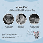 Remote Control Mouse Toy (for Cats)
