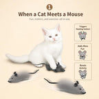 Remote Control Mouse Toy (for Cats)