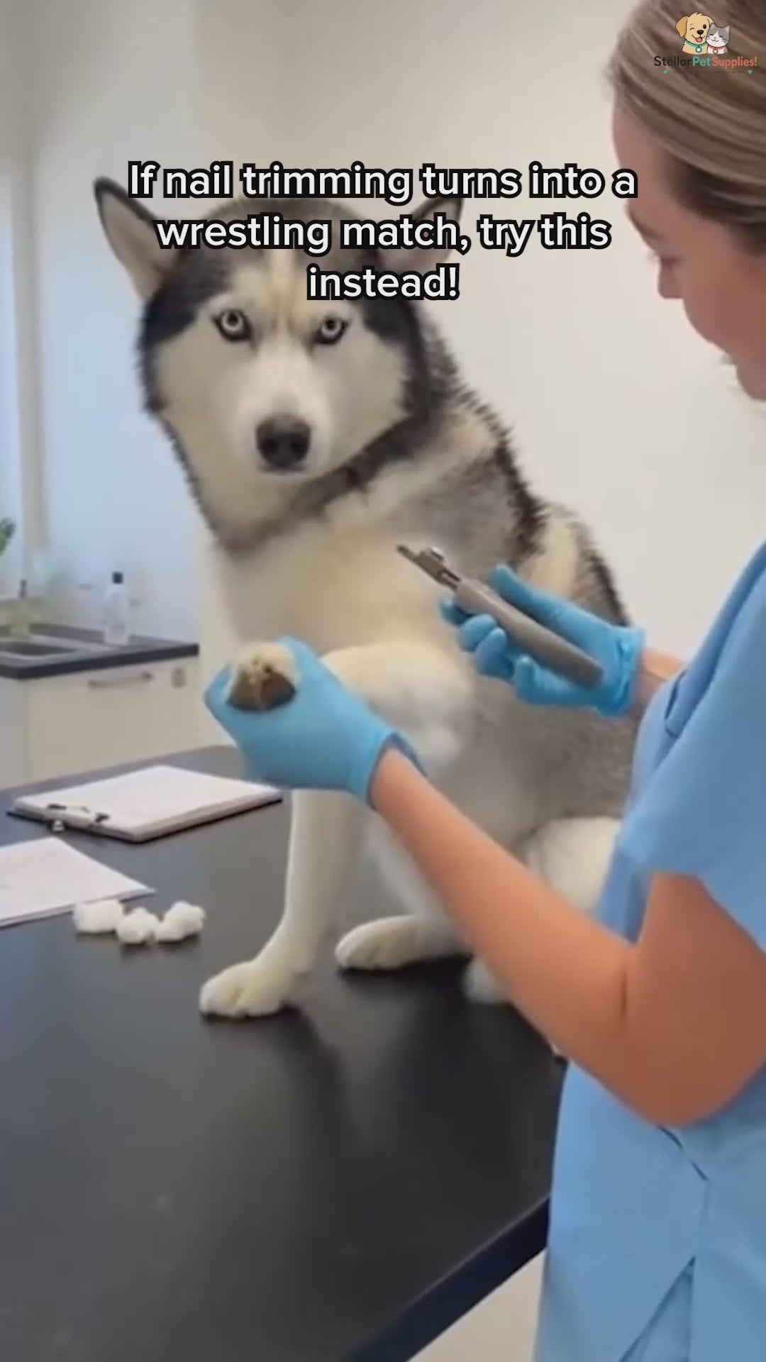 Stress Free Nail Care Board for Dogs
